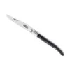 Couteau Laguiole G.David Corne Mitre Inox Mat 12cm Carbone
